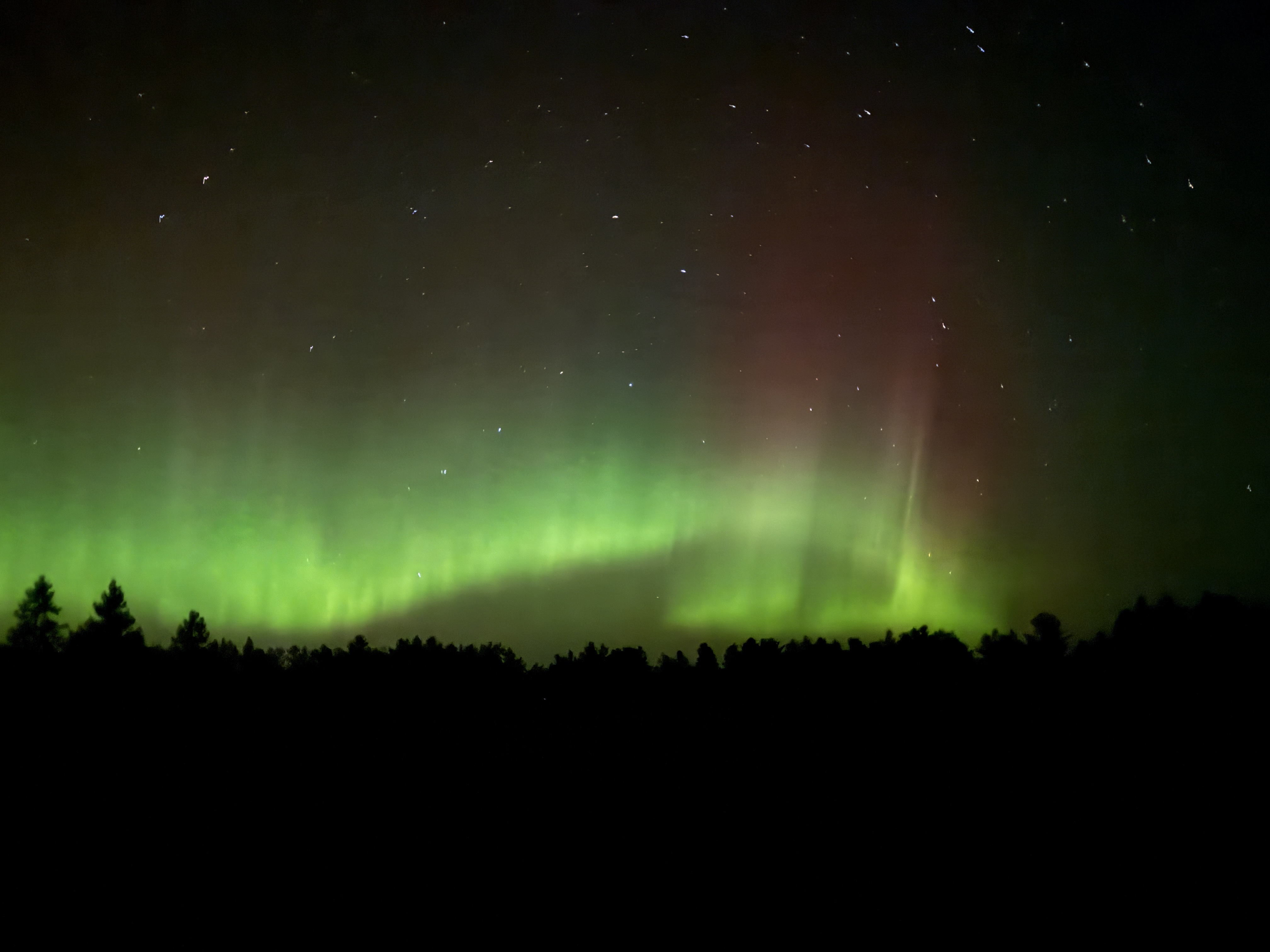 Aurora_NT9A_111125.jpg