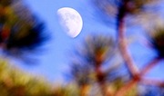 Moon_7_17_13web_thumb